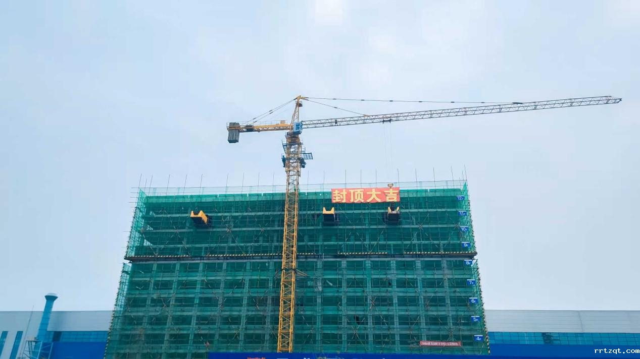 图片3